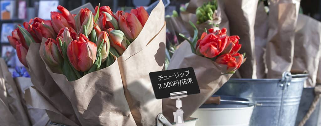 red tulips and blue hyacinths